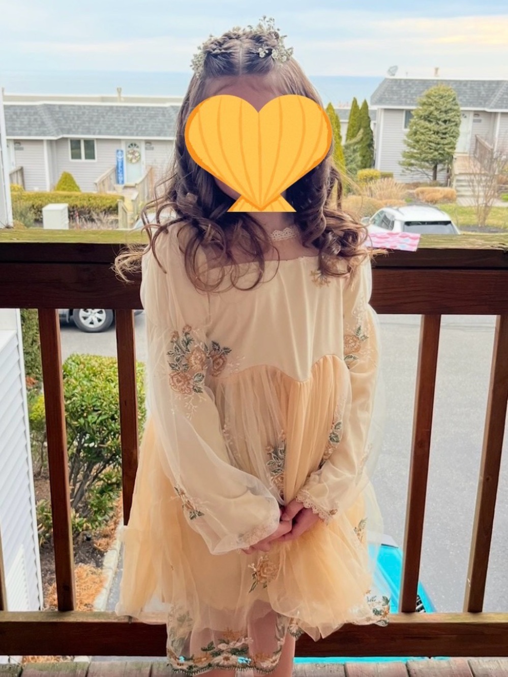 Girls' ivory Embroidered Tulle Party Dress. Hint of yellow in the color